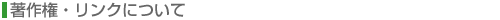 ���쌠�E�����N�ɂ���